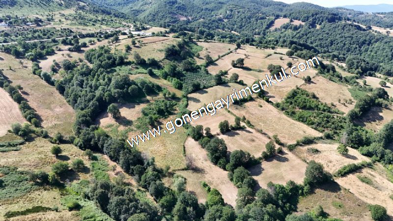 3.000 m2 Yatırımlık Tarla Bağ-Bahçe Resmi Kadastro Yolu Yoktur. - 1