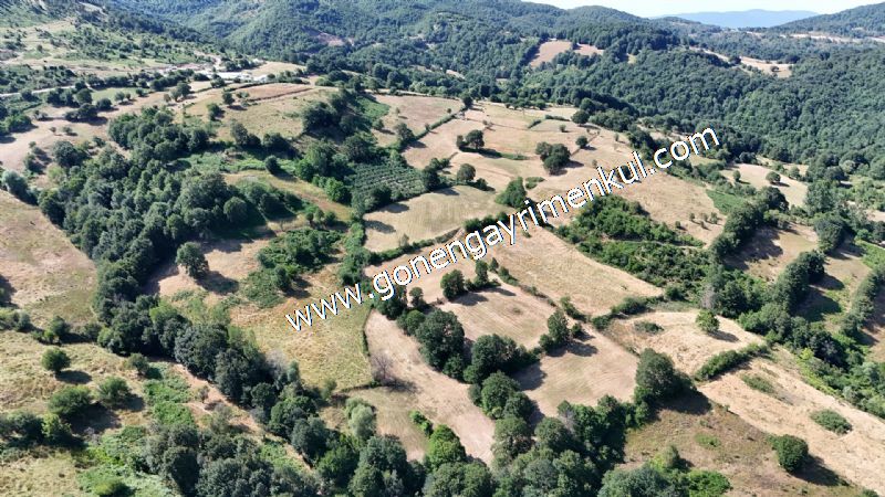 3.000 m2 Yatırımlık Tarla Bağ-Bahçe Resmi Kadastro Yolu Yoktur. - 0