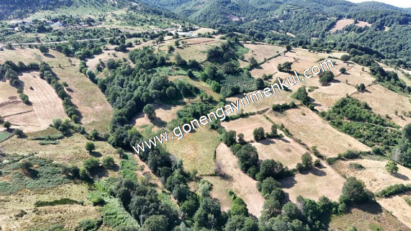3.000 m2 Yatırımlık Tarla Bağ-Bahçe Resmi Kadastro Yolu Yoktur. - 2