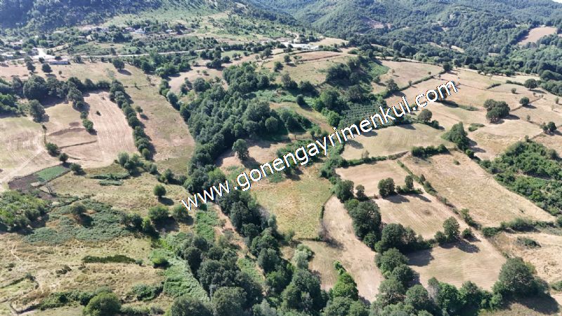 3.000 m2 Yatırımlık Tarla Bağ-Bahçe Resmi Kadastro Yolu Yoktur. - 3