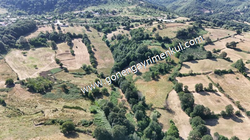 3.000 m2 Yatırımlık Tarla Bağ-Bahçe Resmi Kadastro Yolu Yoktur. - 4