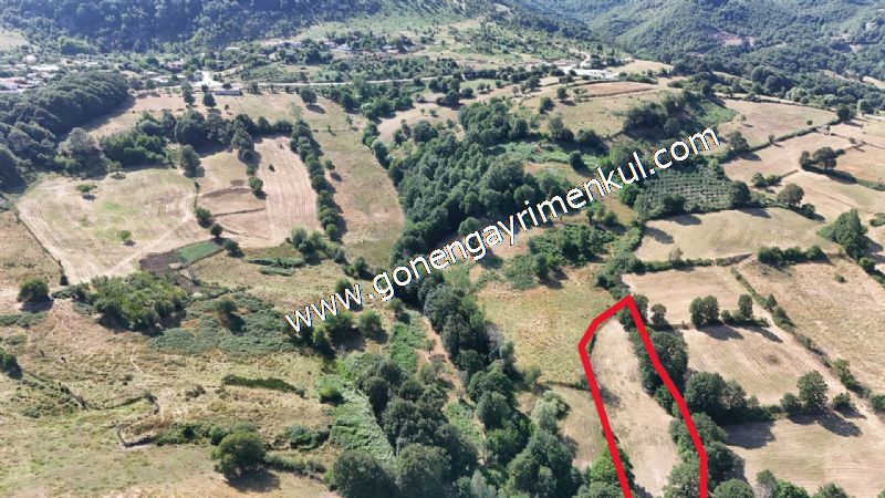 3.000 m2 Yatırımlık Tarla Bağ-Bahçe Resmi Kadastro Yolu Yoktur. - 5