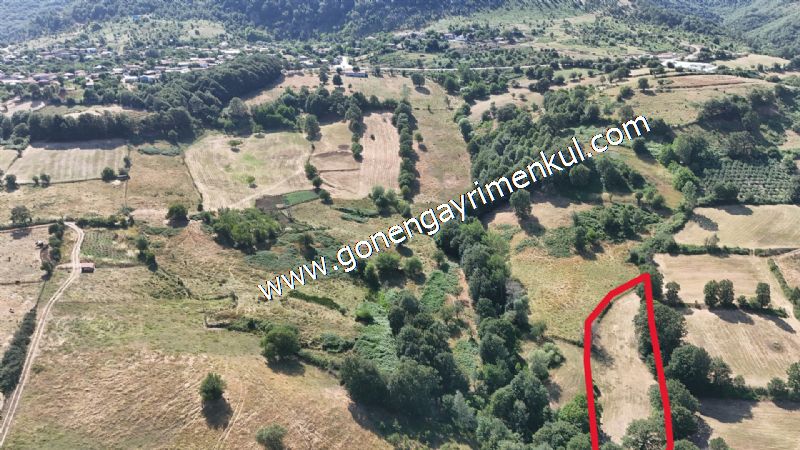 3.000 m2 Yatırımlık Tarla Bağ-Bahçe Resmi Kadastro Yolu Yoktur. - 9
