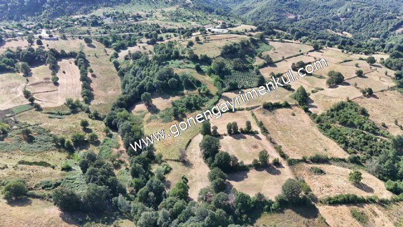 3.000 m2 Yatırımlık Tarla Bağ-Bahçe Resmi Kadastro Yolu Yoktur. - 11