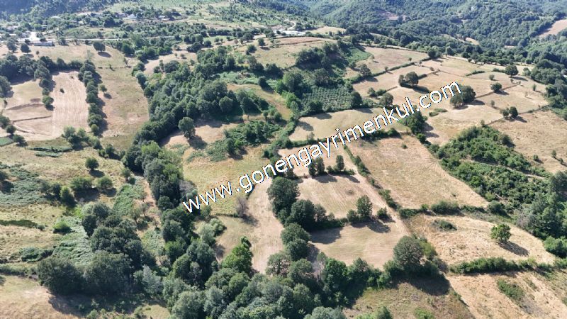 3.000 m2 Yatırımlık Tarla Bağ-Bahçe Resmi Kadastro Yolu Yoktur. - 13