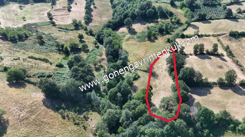 3.000 m2 Yatırımlık Tarla Bağ-Bahçe Resmi Kadastro Yolu Yoktur. - 16
