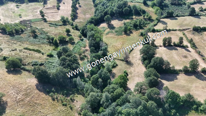 3.000 m2 Yatırımlık Tarla Bağ-Bahçe Resmi Kadastro Yolu Yoktur. - 15