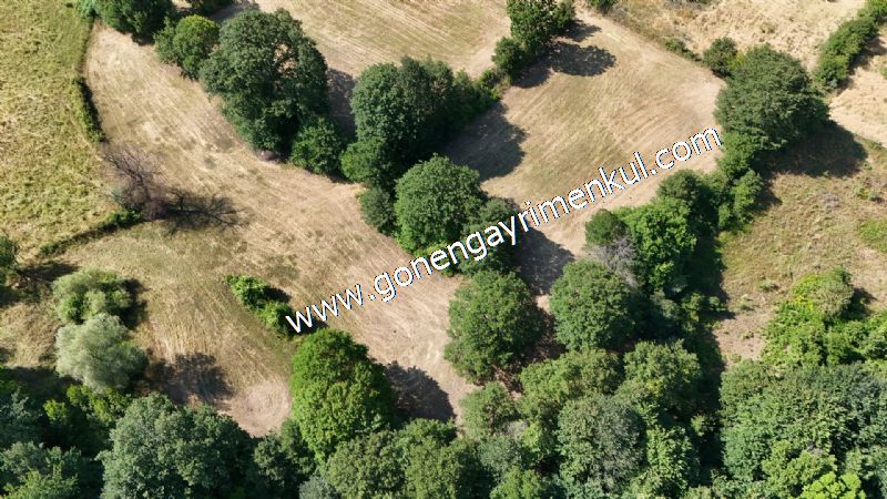 3.000 m2 Yatırımlık Tarla Bağ-Bahçe Resmi Kadastro Yolu Yoktur. - 18