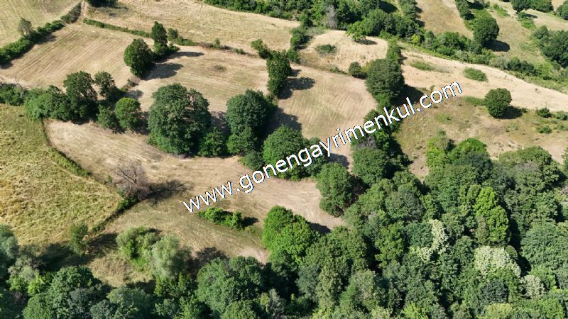 3.000 m2 Yatırımlık Tarla Bağ-Bahçe Resmi Kadastro Yolu Yoktur. - 20