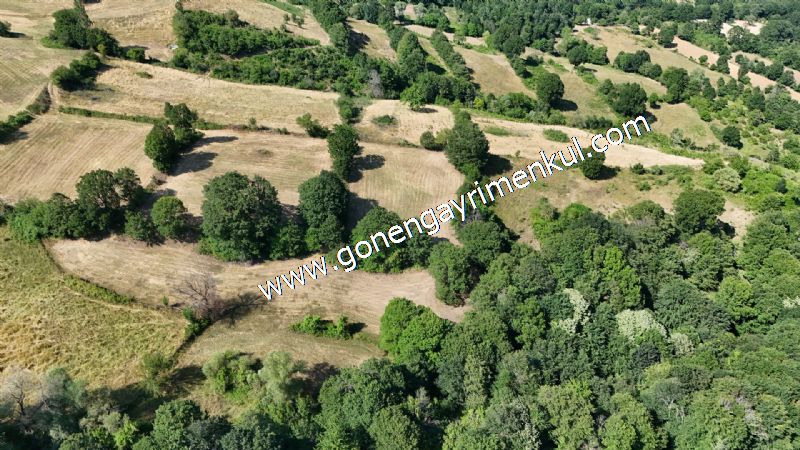 3.000 m2 Yatırımlık Tarla Bağ-Bahçe Resmi Kadastro Yolu Yoktur. - 21