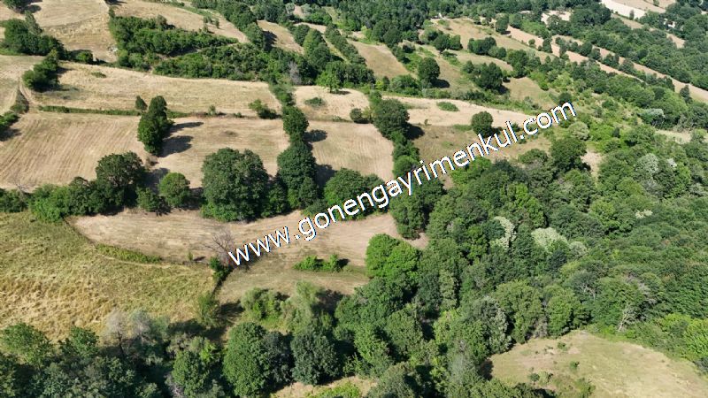 3.000 m2 Yatırımlık Tarla Bağ-Bahçe Resmi Kadastro Yolu Yoktur. - 22
