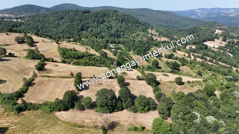 3.000 m2 Yatırımlık Tarla Bağ-Bahçe Resmi Kadastro Yolu Yoktur. - 24