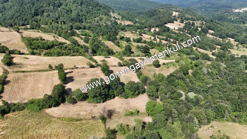 3.000 m2 Yatırımlık Tarla Bağ-Bahçe Resmi Kadastro Yolu Yoktur. - 25