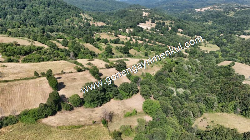 3.000 m2 Yatırımlık Tarla Bağ-Bahçe Resmi Kadastro Yolu Yoktur. - 26
