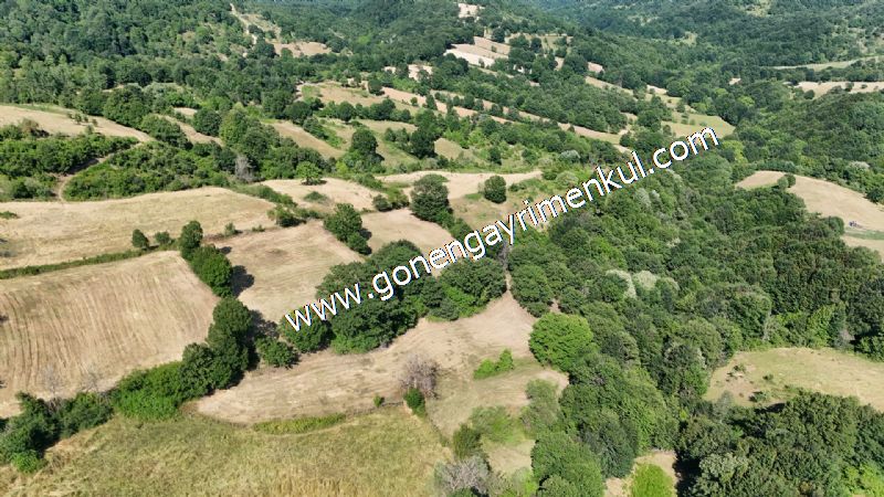 3.000 m2 Yatırımlık Tarla Bağ-Bahçe Resmi Kadastro Yolu Yoktur. - 27