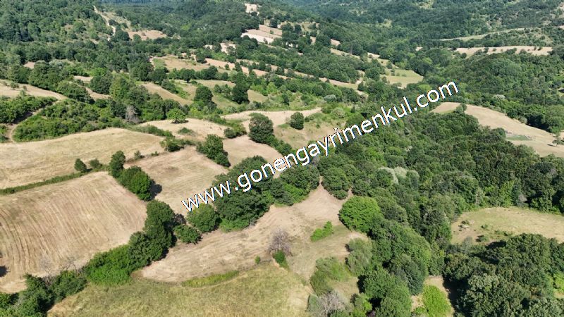 3.000 m2 Yatırımlık Tarla Bağ-Bahçe Resmi Kadastro Yolu Yoktur. - 28