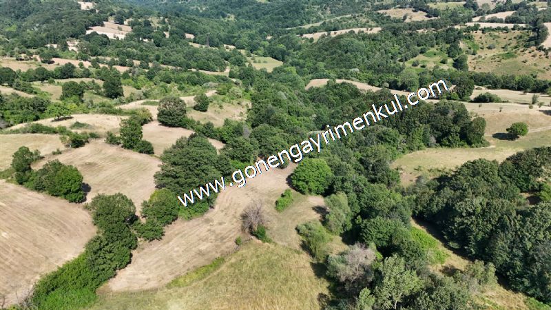 3.000 m2 Yatırımlık Tarla Bağ-Bahçe Resmi Kadastro Yolu Yoktur. - 30
