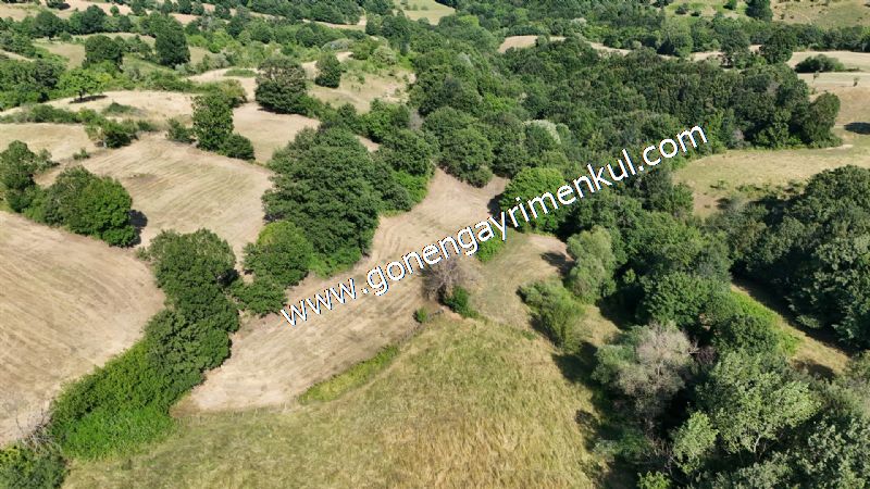 3.000 m2 Yatırımlık Tarla Bağ-Bahçe Resmi Kadastro Yolu Yoktur. - 31