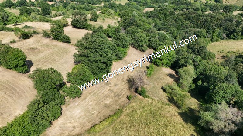 3.000 m2 Yatırımlık Tarla Bağ-Bahçe Resmi Kadastro Yolu Yoktur. - 32
