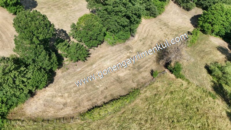 3.000 m2 Yatırımlık Tarla Bağ-Bahçe Resmi Kadastro Yolu Yoktur. - 36