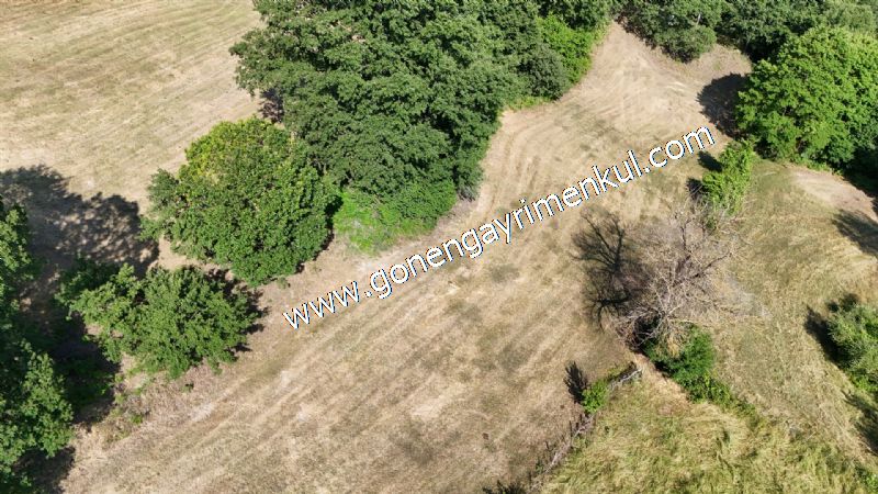 3.000 m2 Yatırımlık Tarla Bağ-Bahçe Resmi Kadastro Yolu Yoktur. - 38