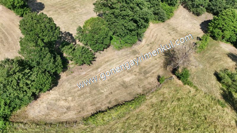 3.000 m2 Yatırımlık Tarla Bağ-Bahçe Resmi Kadastro Yolu Yoktur. - 37