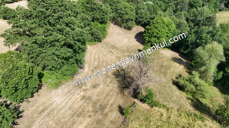 3.000 m2 Yatırımlık Tarla Bağ-Bahçe Resmi Kadastro Yolu Yoktur. - 39
