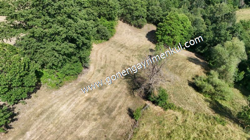 3.000 m2 Yatırımlık Tarla Bağ-Bahçe Resmi Kadastro Yolu Yoktur. - 40