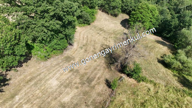 3.000 m2 Yatırımlık Tarla Bağ-Bahçe Resmi Kadastro Yolu Yoktur. - 41