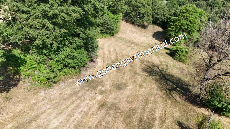3.000 m2 Yatırımlık Tarla Bağ-Bahçe Resmi Kadastro Yolu Yoktur. - 43