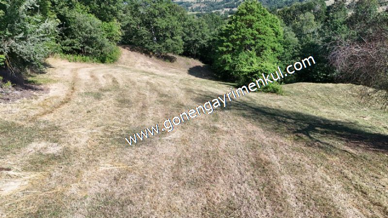 3.000 m2 Yatırımlık Tarla Bağ-Bahçe Resmi Kadastro Yolu Yoktur. - 47