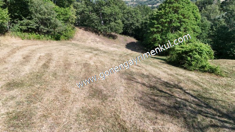 3.000 m2 Yatırımlık Tarla Bağ-Bahçe Resmi Kadastro Yolu Yoktur. - 48