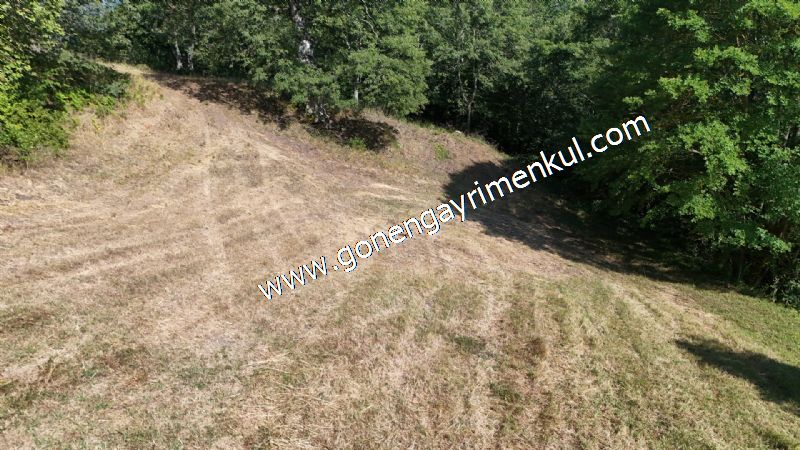 3.000 m2 Yatırımlık Tarla Bağ-Bahçe Resmi Kadastro Yolu Yoktur. - 50