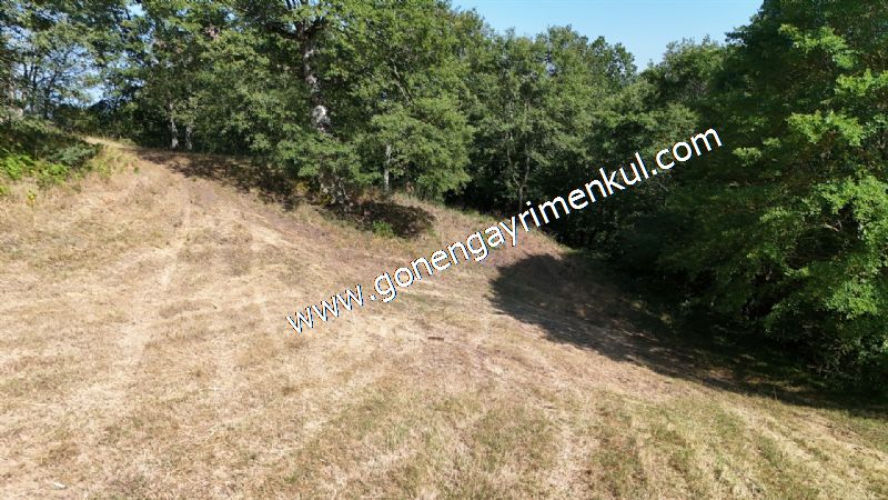 3.000 m2 Yatırımlık Tarla Bağ-Bahçe Resmi Kadastro Yolu Yoktur. - 51