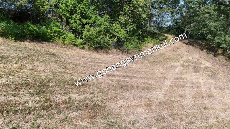 3.000 m2 Yatırımlık Tarla Bağ-Bahçe Resmi Kadastro Yolu Yoktur. - 52