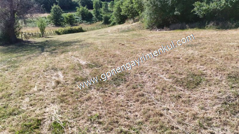 3.000 m2 Yatırımlık Tarla Bağ-Bahçe Resmi Kadastro Yolu Yoktur. - 55