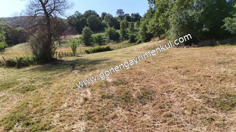 3.000 m2 Yatırımlık Tarla Bağ-Bahçe Resmi Kadastro Yolu Yoktur. - 56