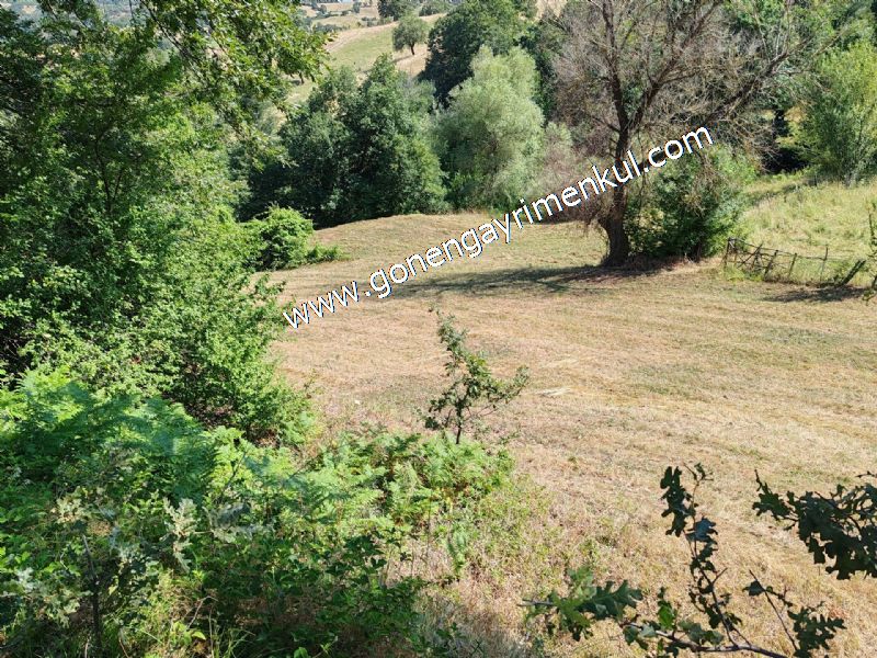 3.000 m2 Yatırımlık Tarla Bağ-Bahçe Resmi Kadastro Yolu Yoktur. - 58