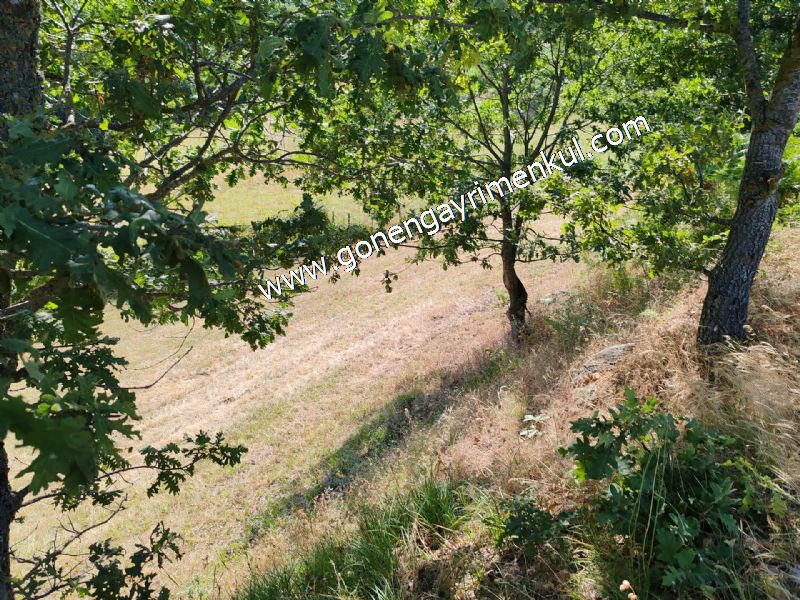 3.000 m2 Yatırımlık Tarla Bağ-Bahçe Resmi Kadastro Yolu Yoktur. - 59
