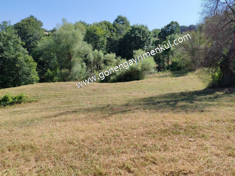 3.000 m2 Yatırımlık Tarla Bağ-Bahçe Resmi Kadastro Yolu Yoktur. - 62