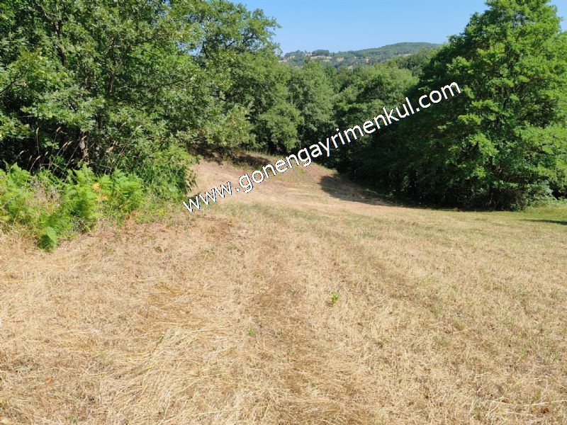3.000 m2 Yatırımlık Tarla Bağ-Bahçe Resmi Kadastro Yolu Yoktur. - 65