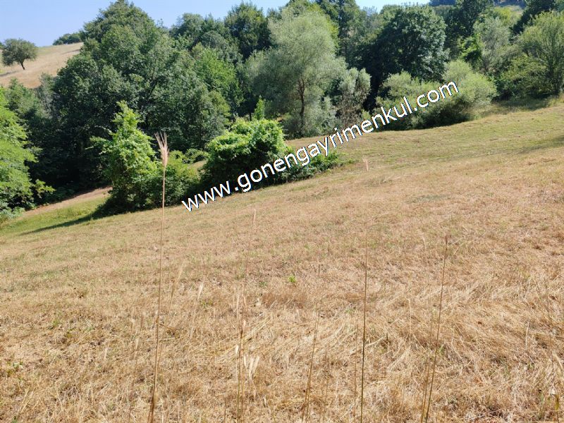 3.000 m2 Yatırımlık Tarla Bağ-Bahçe Resmi Kadastro Yolu Yoktur. - 73