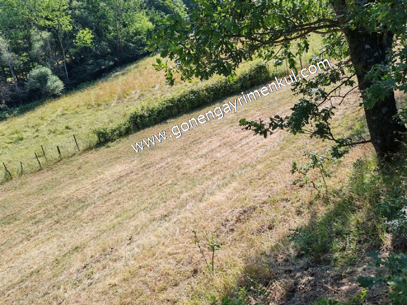 3.000 m2 Yatırımlık Tarla Bağ-Bahçe Resmi Kadastro Yolu Yoktur. - 75