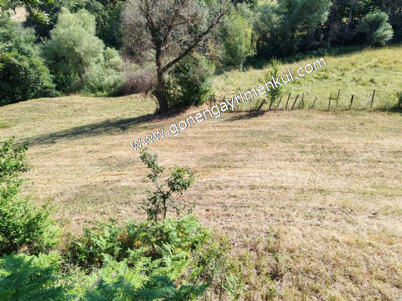 3.000 m2 Yatırımlık Tarla Bağ-Bahçe Resmi Kadastro Yolu Yoktur. - 76