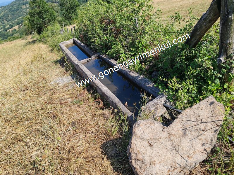 3.000 m2 Yatırımlık Tarla Bağ-Bahçe Resmi Kadastro Yolu Yoktur. - 78