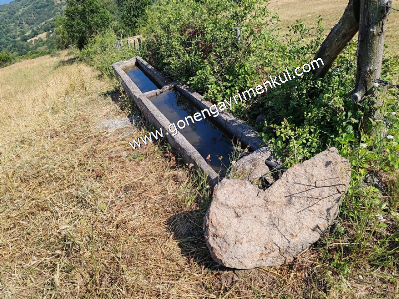 3.000 m2 Yatırımlık Tarla Bağ-Bahçe Resmi Kadastro Yolu Yoktur. - 81