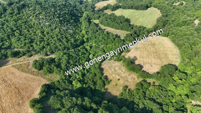 2.786 m2 Yatırımlık Tarla Bağ-Bahçe Resmi Kadastro Yolu Yoktur. - 3