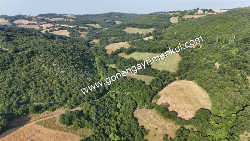 2.786 m2 Yatırımlık Tarla Bağ-Bahçe Resmi Kadastro Yolu Yoktur. - 4