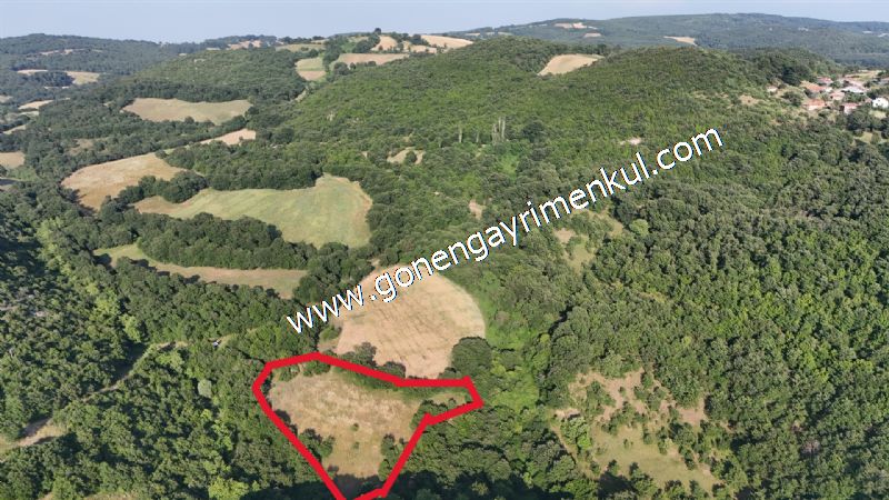 2.786 m2 Yatırımlık Tarla Bağ-Bahçe Resmi Kadastro Yolu Yoktur. - 6