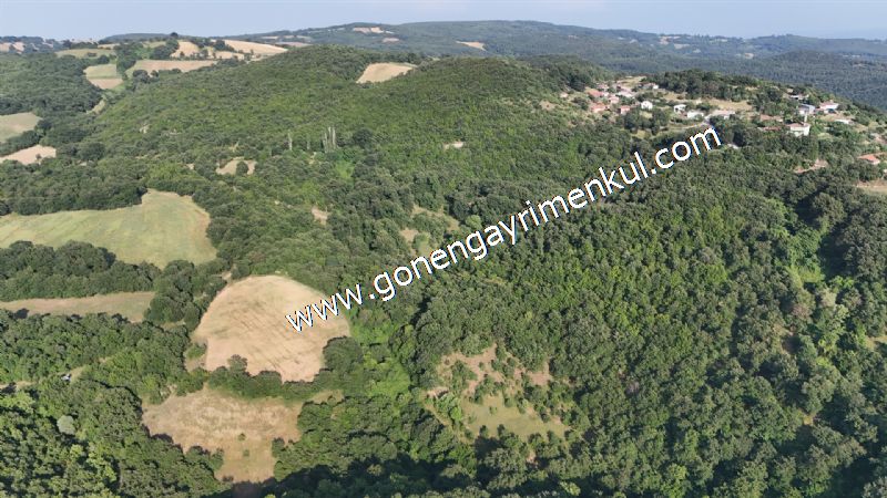 2.786 m2 Yatırımlık Tarla Bağ-Bahçe Resmi Kadastro Yolu Yoktur. - 7